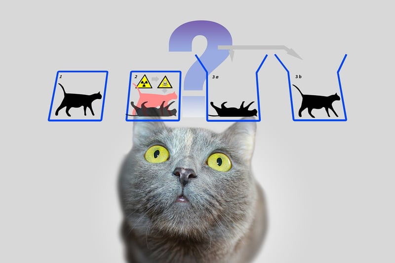 Quantum Transporter